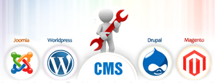 Content Management System websites using popular CMS products